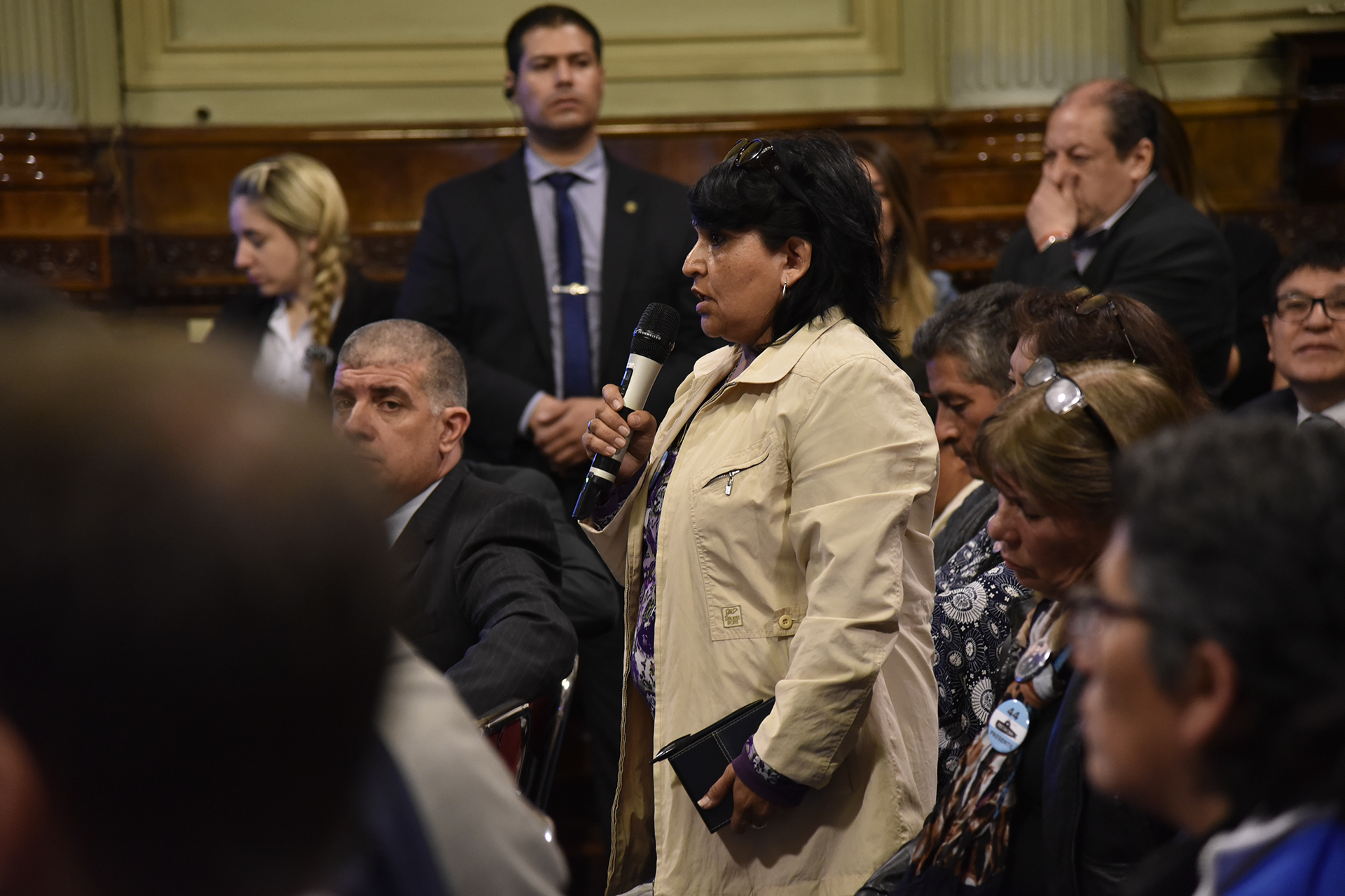 Galeria de imagenes de la noticia TRAS EL HALLAZGO DEL ARA SAN JUAN, AGUAD EXPUSO ANTE LA BICAMERAL INVESTIGADORA